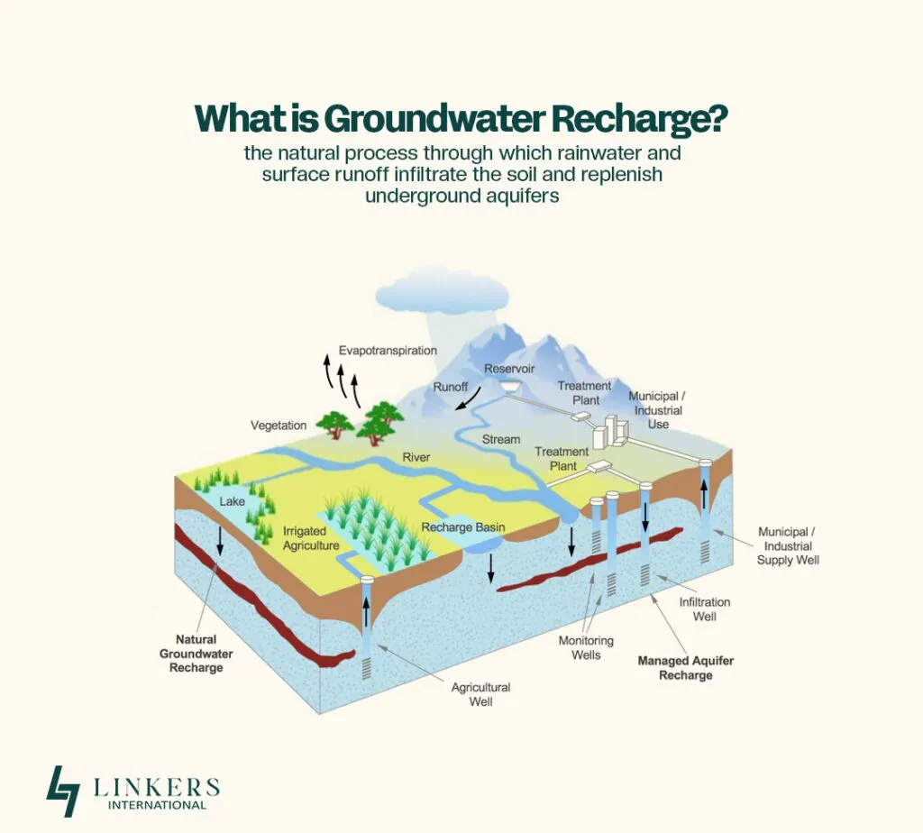 Which Trees Increase Ground Water Level