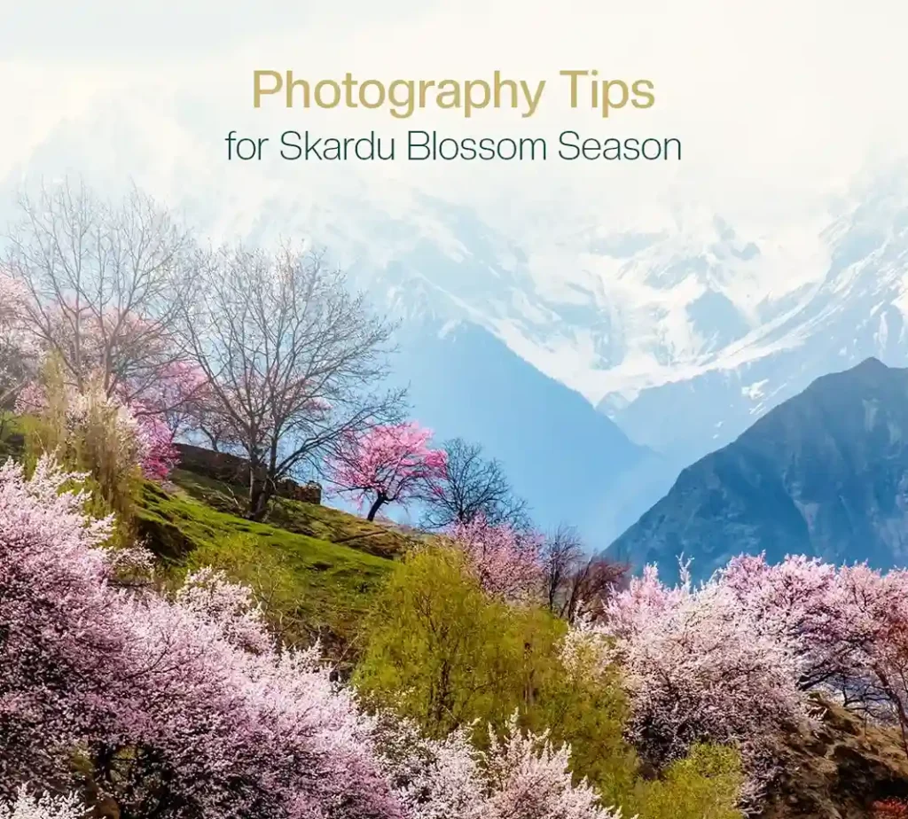 Skardu Blossom Travel Guide 2026: Best Places to Visit for Skardu Blossom