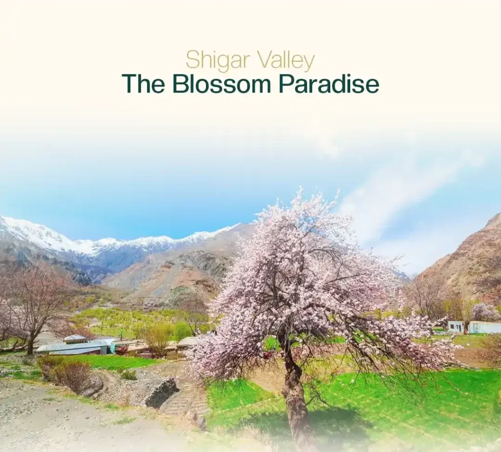 Skardu Blossom Travel Guide 2026: Best Places to Visit for Skardu Blossom