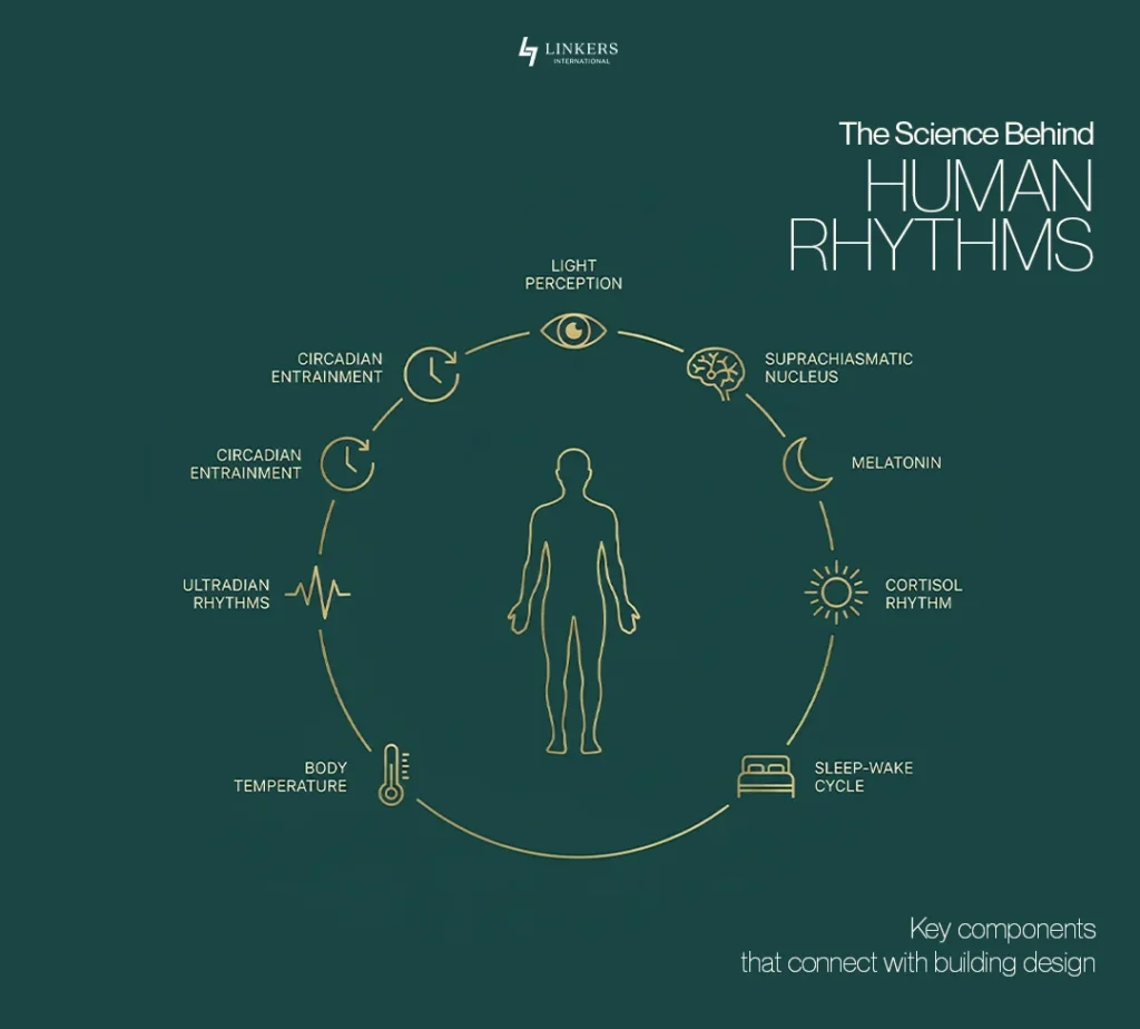 Circadian Architecture