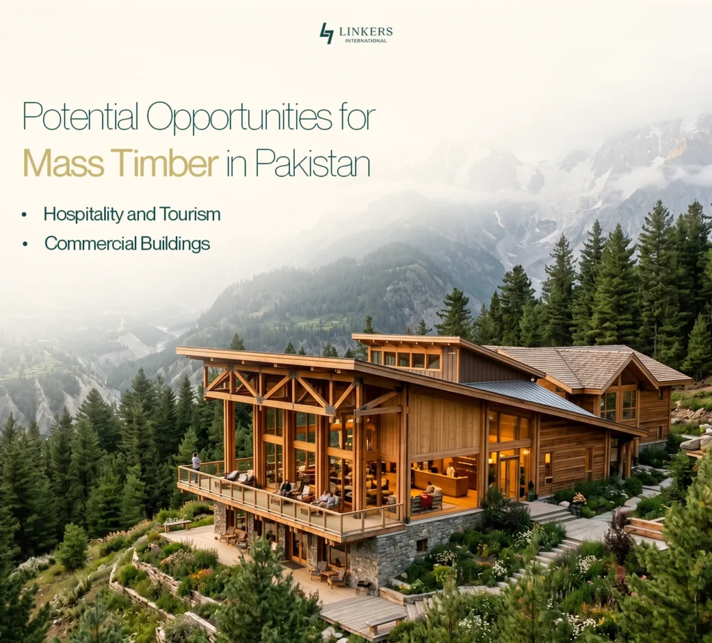 Mass Timber Construction